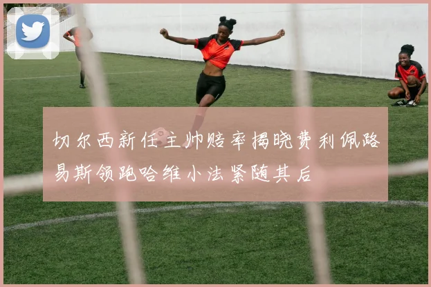 切尔西新任主帅赔率揭晓费利佩路易斯领跑哈维小法紧随其后