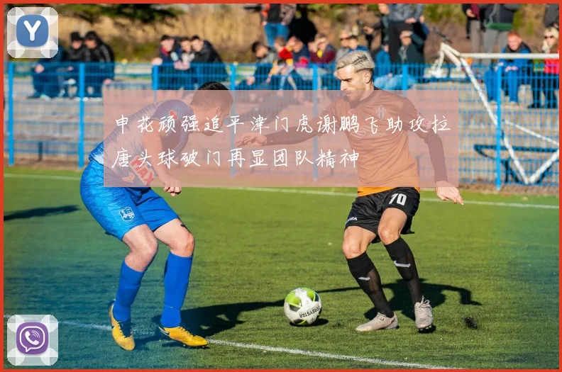 申花顽强追平津门虎谢鹏飞助攻拉唐头球破门再显团队精神