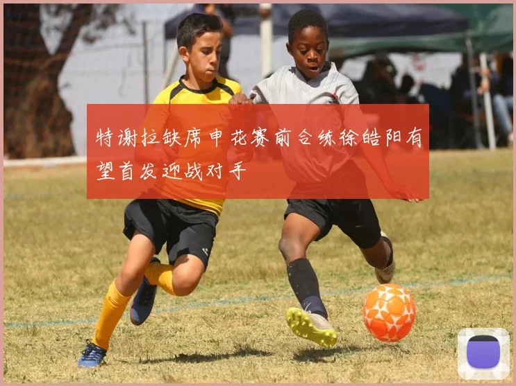 特谢拉缺席申花赛前合练徐皓阳有望首发迎战对手